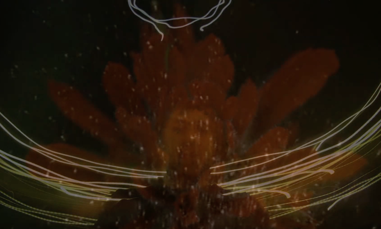 transmute